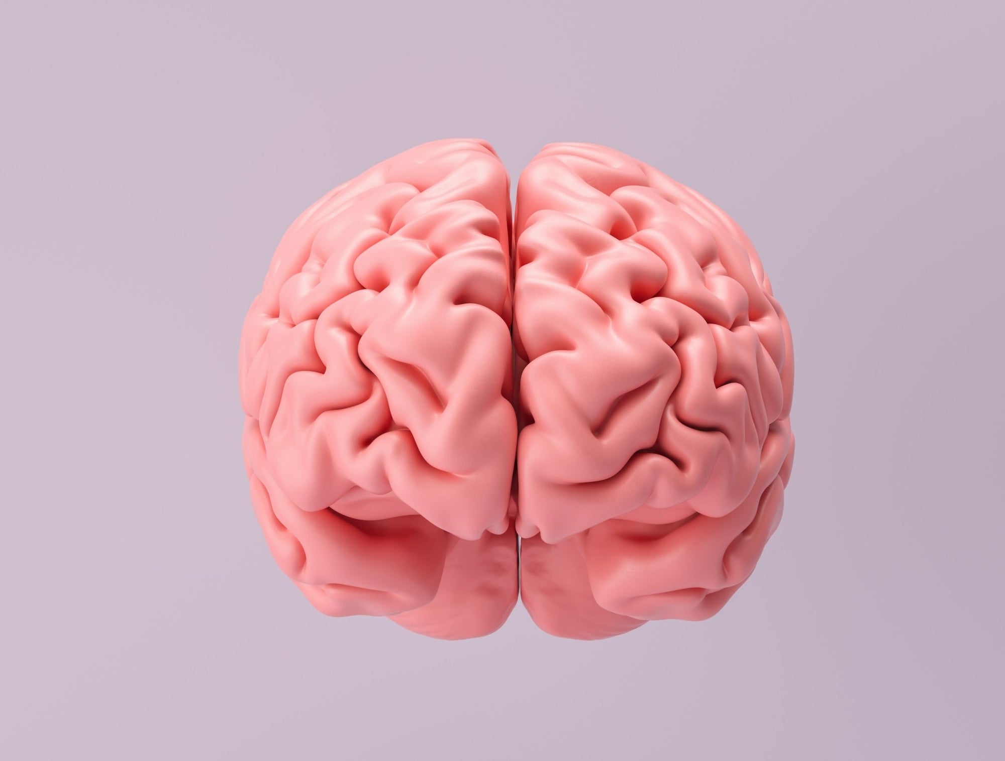 AuDHD - The Science, The Signs & How To Help - jrny