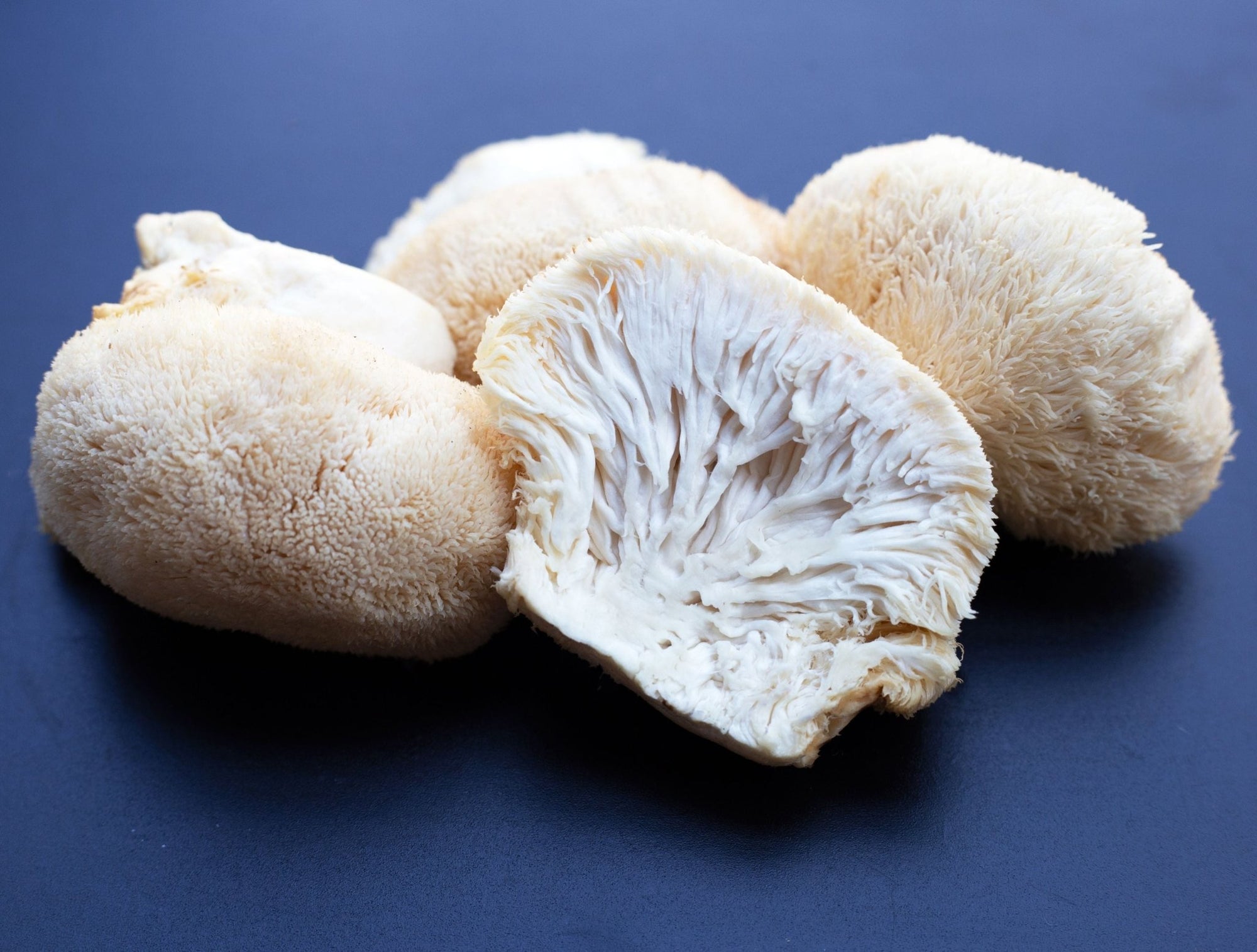 Lion's Mane & ADHD: A Natural Solution? - jrny