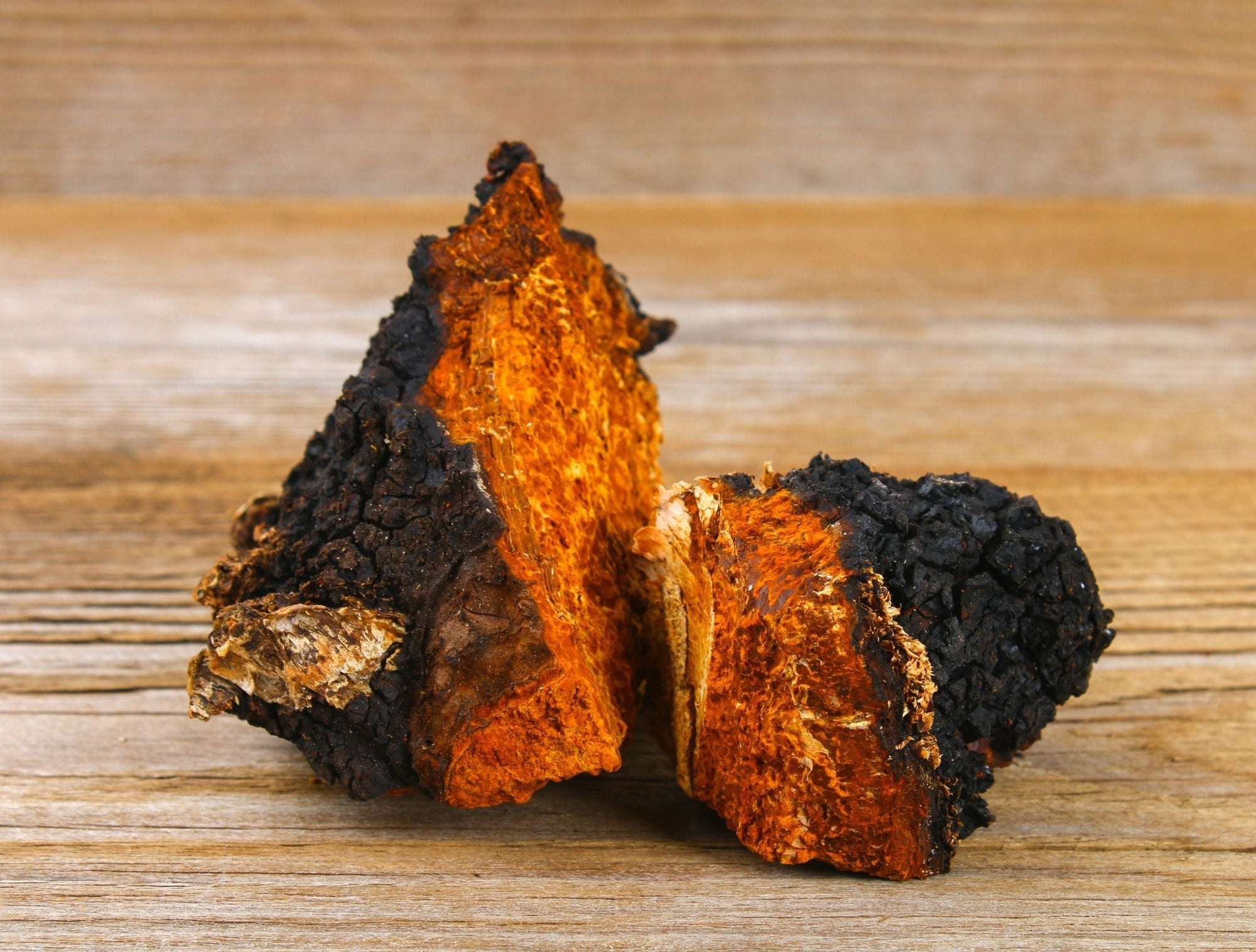 12 Best Chaga Mushroom Powders - jrny