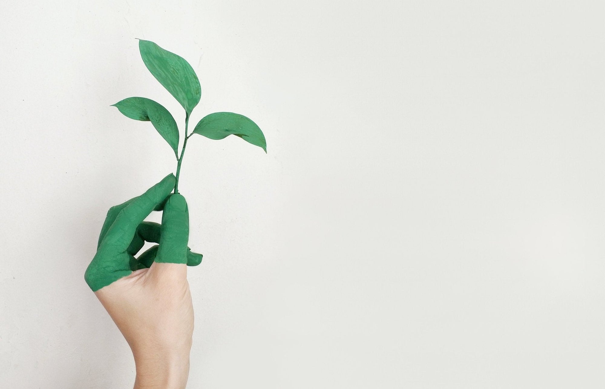 Improving Your Health With Sustainable Practices - jrny