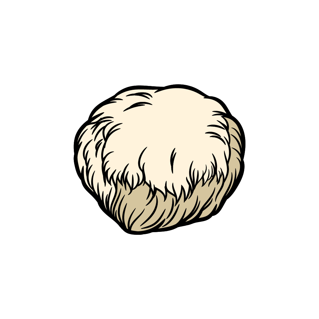 Lion's Mane.png__PID:4b0f39aa-2c19-479c-818e-cae3871647bd